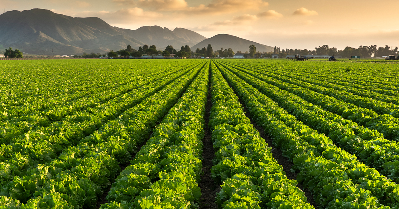 Farmer clinics on produce pricing